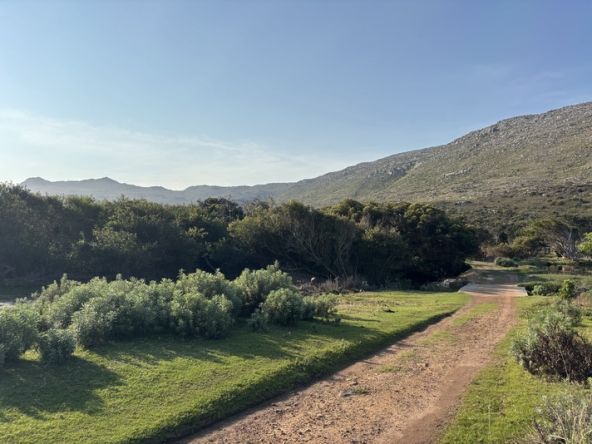 163 Cape Point Farm Stall AS 2026