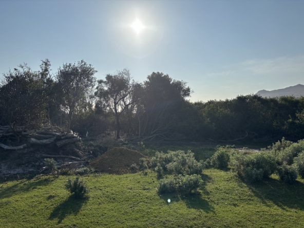 164 Cape Point Farm Stall AS 2026