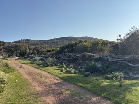 165 Cape Point Farm Stall AS 2026