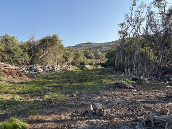 169 Cape Point Farm Stall AS 2026