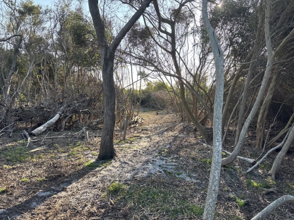 170 Cape Point Farm Stall AS 2026