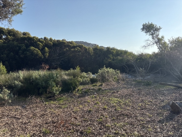 171 Cape Point Farm Stall AS 2026