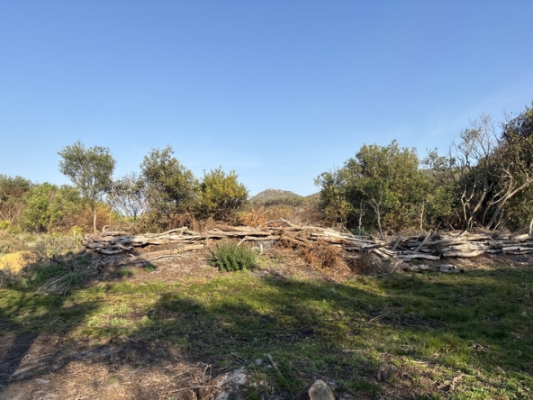 174 Cape Point Farm Stall AS 2026