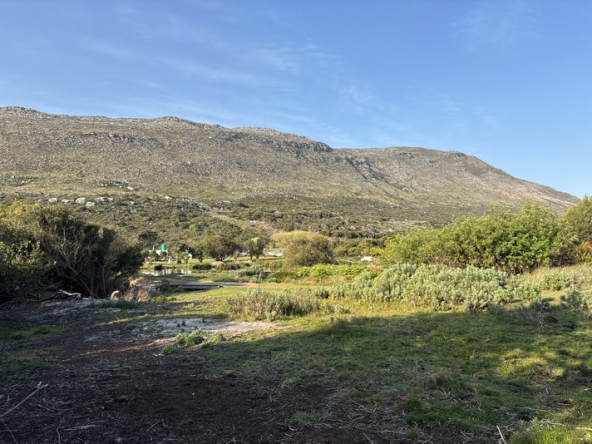 175 Cape Point Farm Stall AS 2026