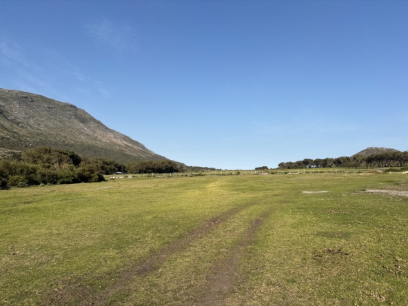 177 Cape Point Farm Stall AS 2026