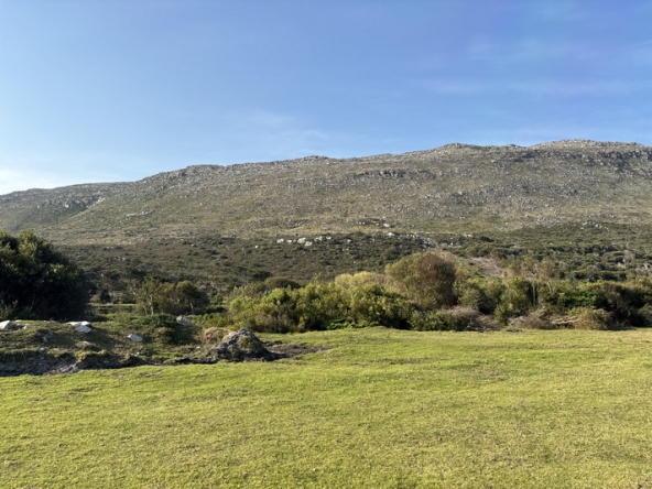 180 Cape Point Farm Stall AS 2026