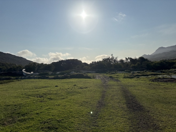 181 Cape Point Farm Stall AS 2026