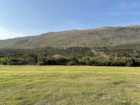 183 Cape Point Farm Stall AS 2026