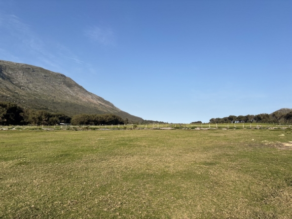 184 Cape Point Farm Stall AS 2026