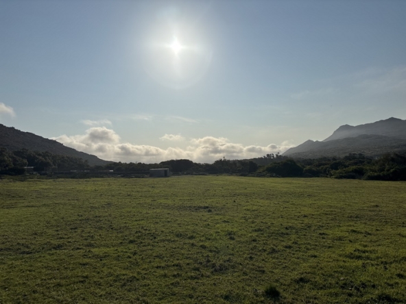 187 Cape Point Farm Stall AS 2026