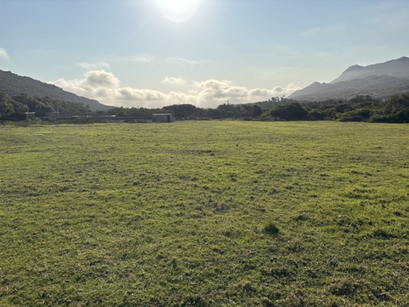 188 Cape Point Farm Stall AS 2026