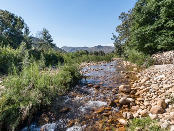 042 The River Farm AS 2026