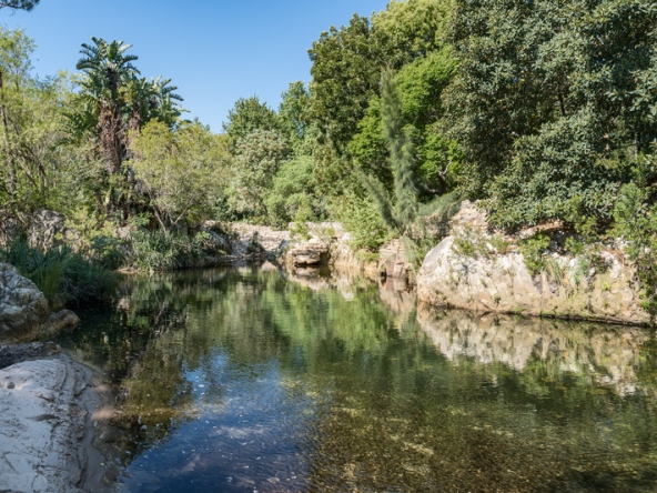 054 The River Farm AS 2026