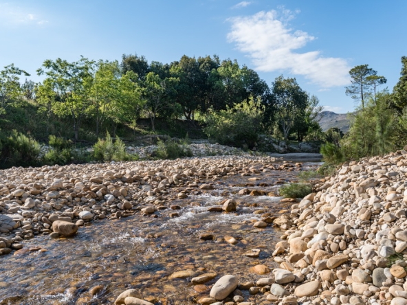 075 The River Farm AS 2026